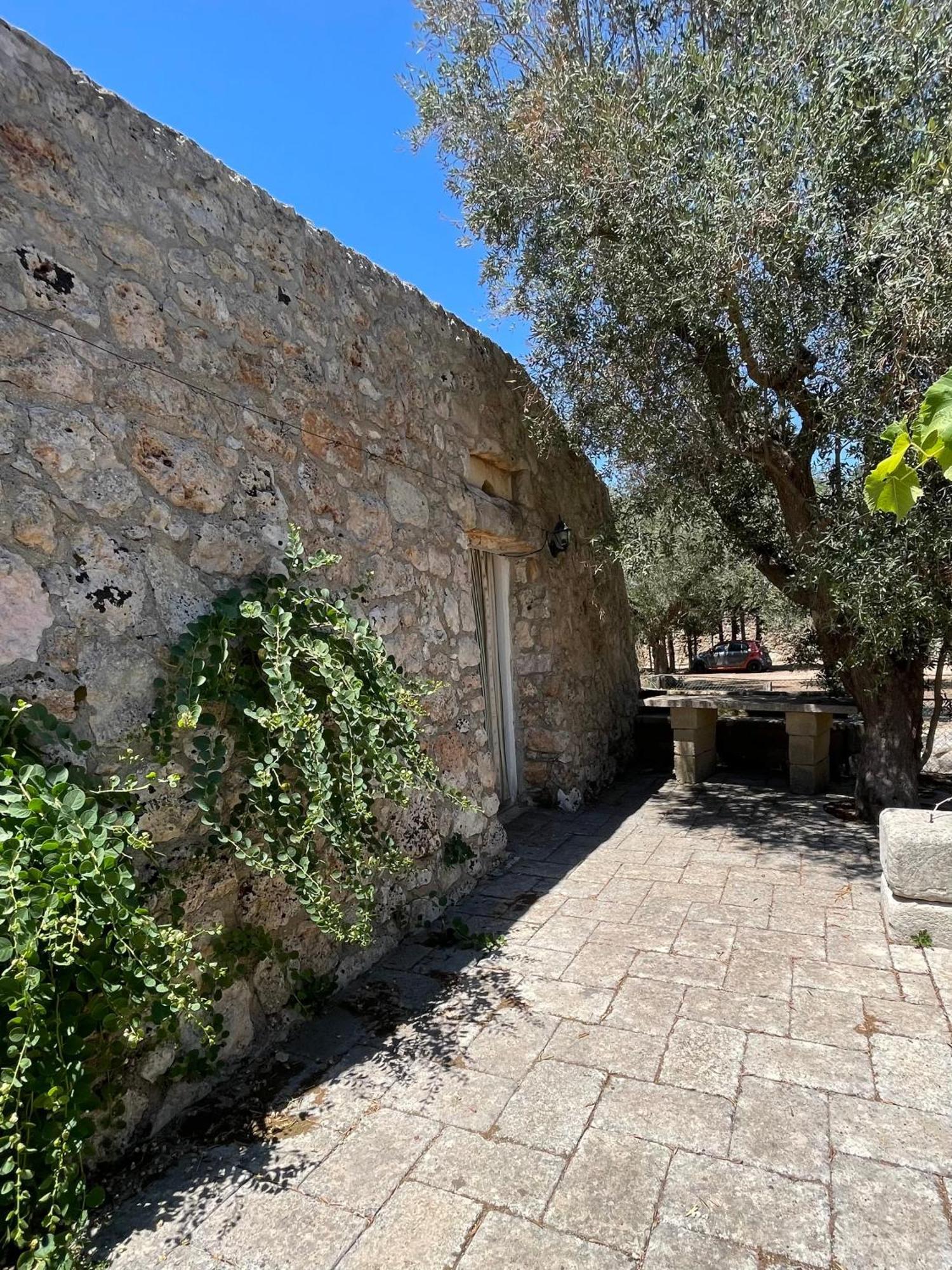 Agriturismo Salento Pietralata Андрано Екстериор снимка